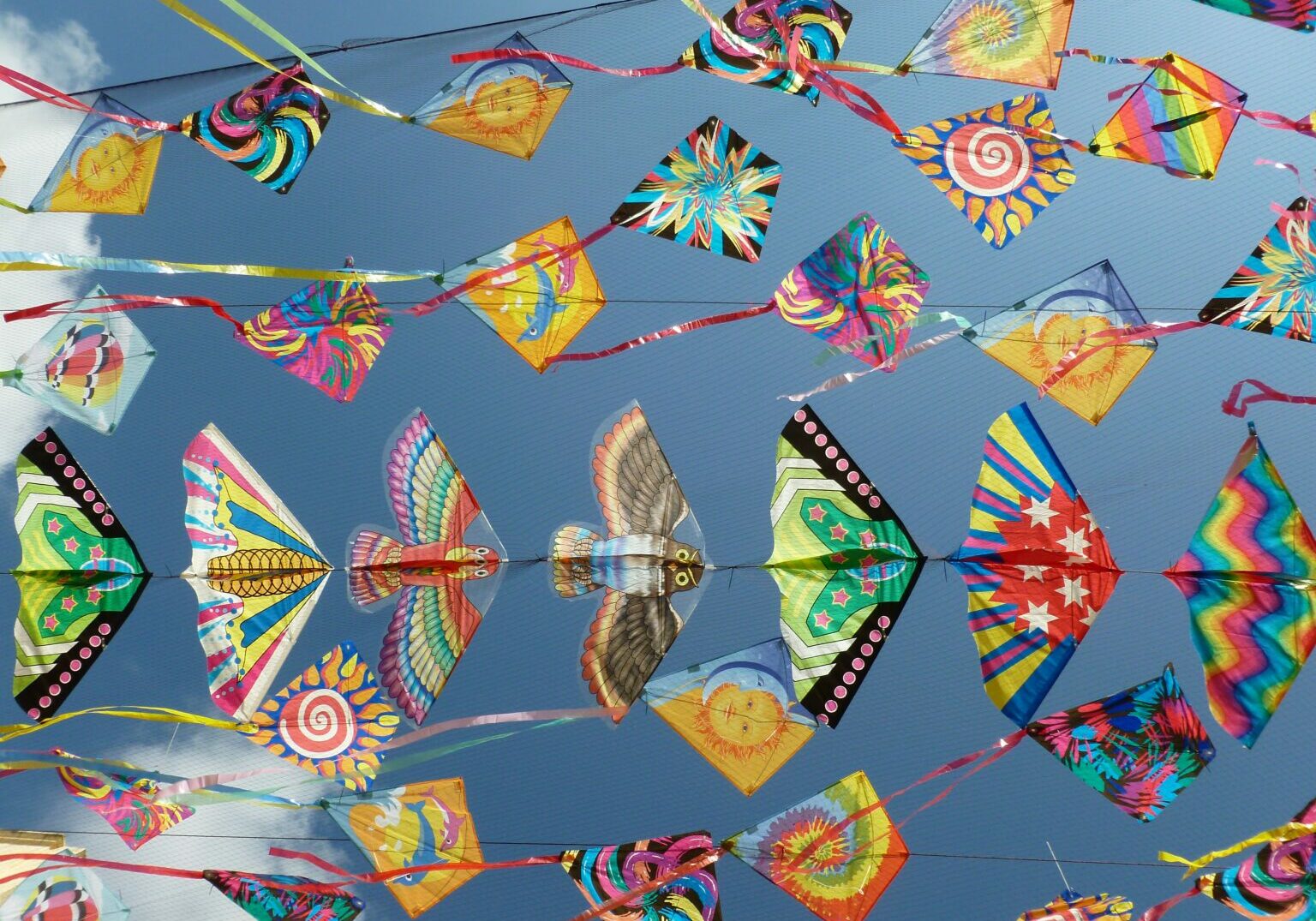 A photograph of lots of brightly coloured kites.